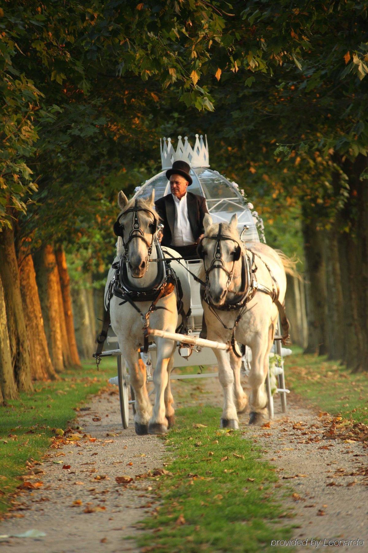 Oheka Castle Hotel & Estate Huntington Dış mekan fotoğraf
