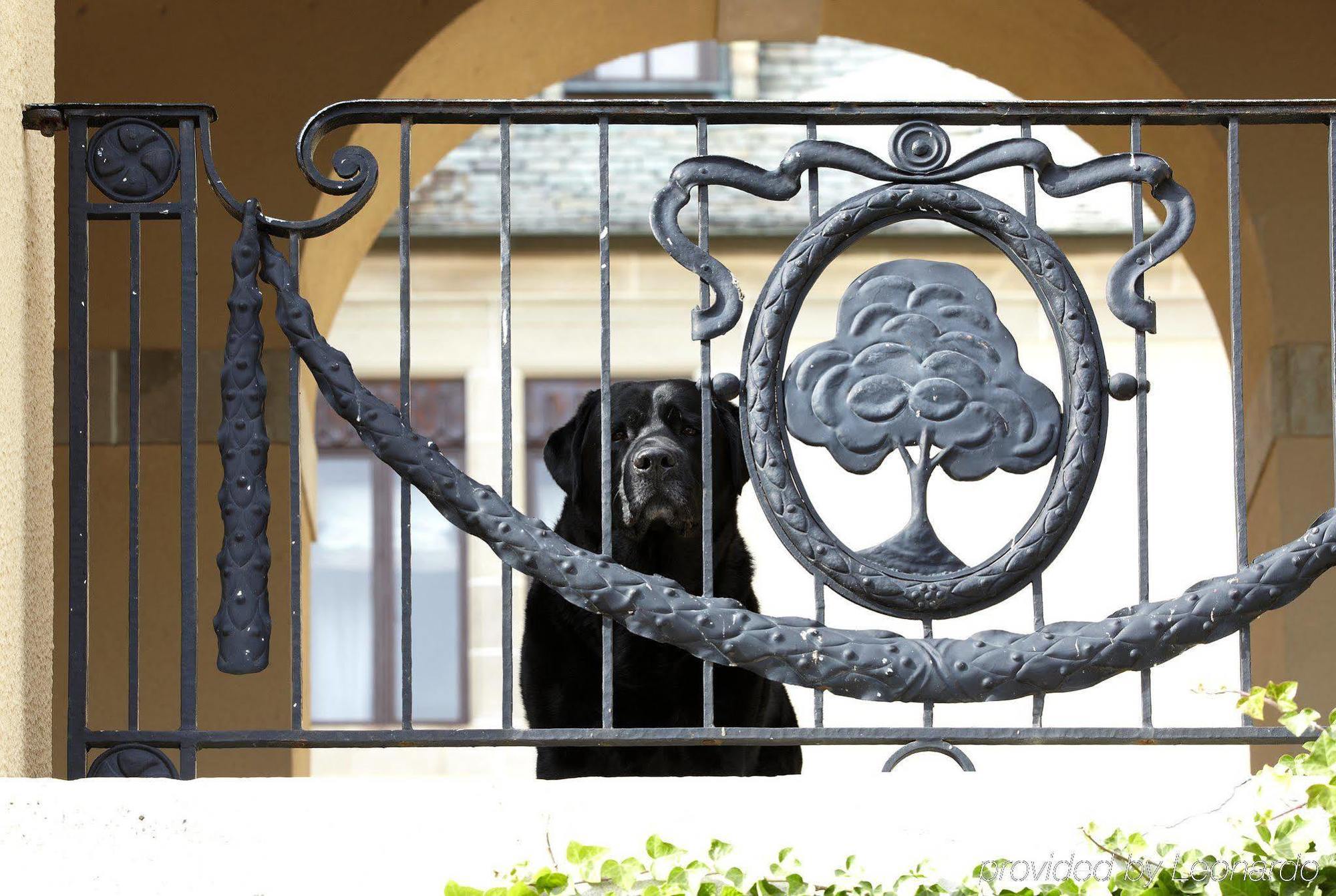 Oheka Castle Hotel & Estate Huntington Dış mekan fotoğraf